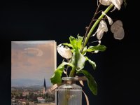 2026-02-16, Österreich, St. Valentin, Valentinsempfang der Bürgermeisterin